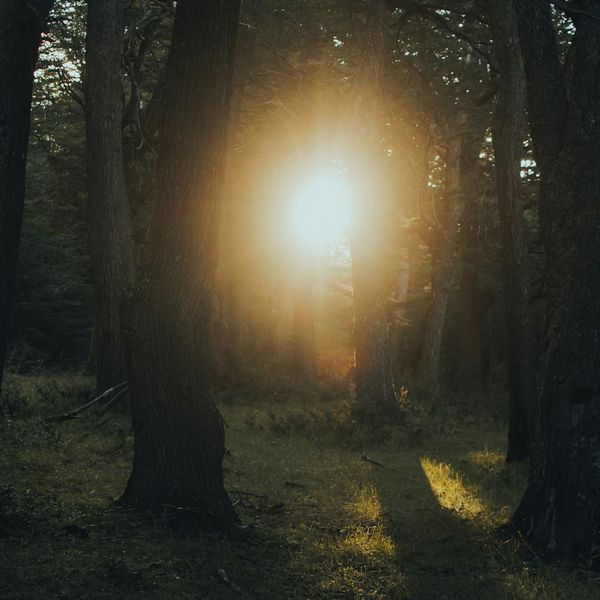 Serene woman enjoying morning sun and deep breath